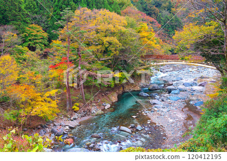 多西河，水源森林的秋葉 120412195