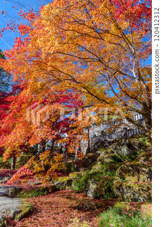 秋天的古峰神社境內 120412312