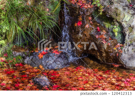 秋天的古峰神社境內 120412313