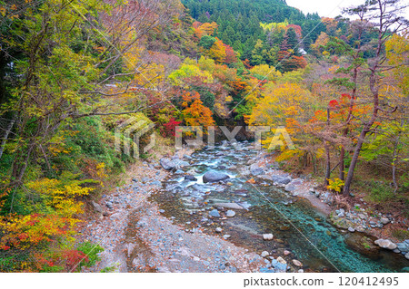 多西河,水源森林的秋葉 多西河,水源森林的秋葉 120412495