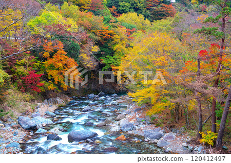 多西河,水源森林的秋葉 多西河,水源森林的秋葉 120412497