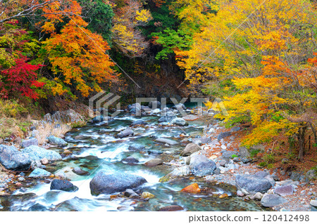 多西河，水源森林的秋葉 120412498