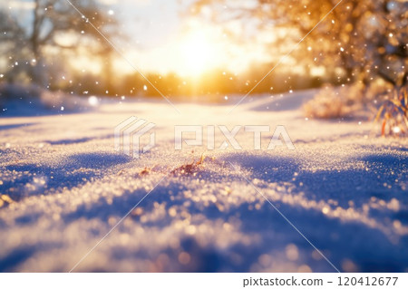 Sunlit Snowy Field with Dazzling Reflections Sunlit Snowy Field with Dazzling Reflections 120412677