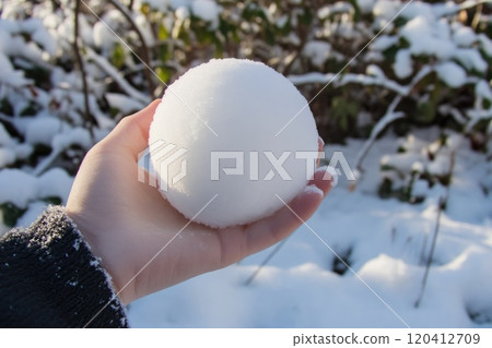 Person Holding Freshly Made Snowball in Hand 120412709