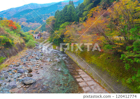 道志河和紅椿之湯附近的秋葉 120412774