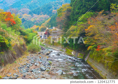 Autumn leaves near the Doshi River and Benitsubaki-no-Yu 120412775