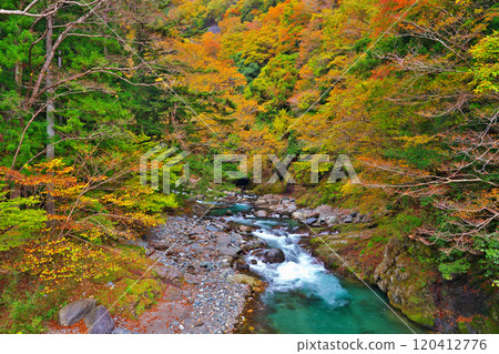 Autumn leaves near the Doshi River and Benitsubaki-no-Yu 120412776