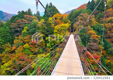 道志川、久保橋的秋葉 道志川、久保橋的秋葉 120412881