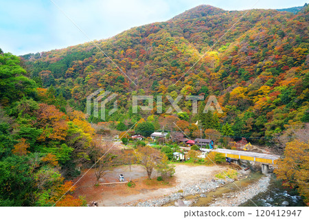 道志河和下村露營地附近的秋葉 道志河和下村露營地附近的秋葉 120412947