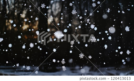 Delicate Snowflakes Gently Falling from the Sky Delicate Snowflakes Gently Falling from the Sky 120413013