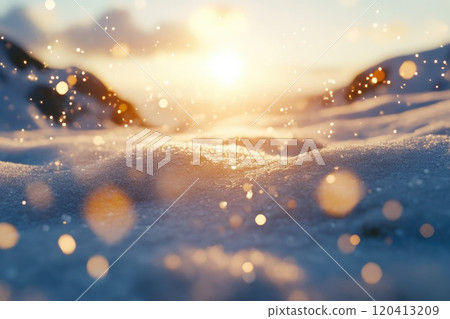 Radiant Snow Blanketing the Ground in Sunlight 120413209