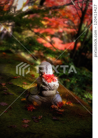 Eigenji Momiji Temple in Daigo Town, Ibaraki Prefecture, at the peak of autumn foliage Eigenji Momiji Temple in Daigo Town, Ibaraki Prefecture, at the peak of autumn foliage 120413427
