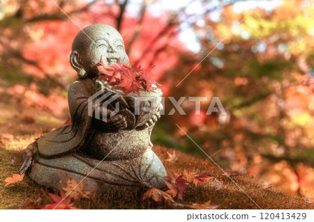 Eigenji Momiji Temple in Daigo Town, Ibaraki Prefecture, at the peak of autumn foliage 120413429