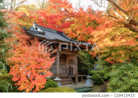 Eigenji Momiji Temple in Daigo Town, Ibaraki Prefecture, at the peak of autumn foliage Eigenji Momiji Temple in Daigo Town, Ibaraki Prefecture, at the peak of autumn foliage 120413433