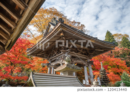 Eigenji Momiji Temple in Daigo Town, Ibaraki Prefecture, at the peak of autumn foliage 120413440