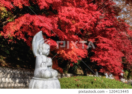 茨城縣醍醐町秋葉盛開的永源寺紅葉寺 120413445