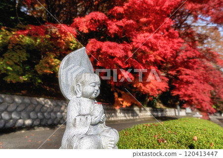 Eigenji Momiji Temple in Daigo Town, Ibaraki Prefecture, at the peak of autumn foliage 120413447