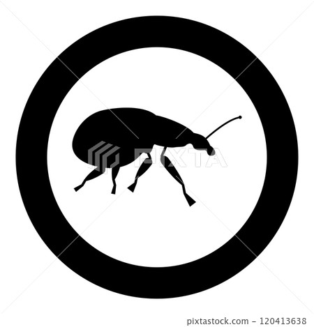 Weevil insect pest icon in circle round black color vector illustration image solid outline style Weevil insect pest icon in circle round black color vector illustration image solid outline style 120413638