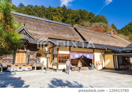 Autumn at Furumine Shrine Autumn at Furumine Shrine 120413760