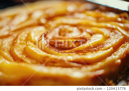 Golden Brown Apple Tart with Swirled Apples Golden Brown Apple Tart with Swirled Apples 120413776