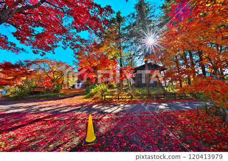 Tateshina湖秋葉 120413979