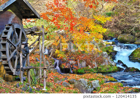 Autumn leaves at Tateshina Grand Hotel Takinoyu Autumn leaves at Tateshina Grand Hotel Takinoyu 120414135