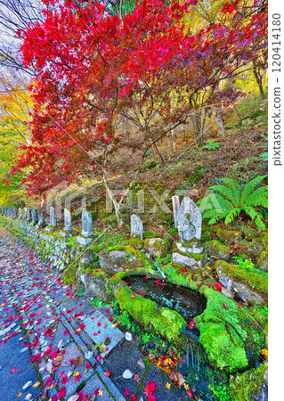 Autumn leaves at Tateshina Grand Hotel Takinoyu Autumn leaves at Tateshina Grand Hotel Takinoyu 120414180