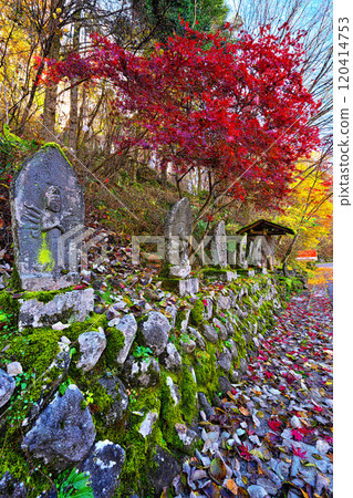 Autumn leaves at Tateshina Grand Hotel Takinoyu 120414753