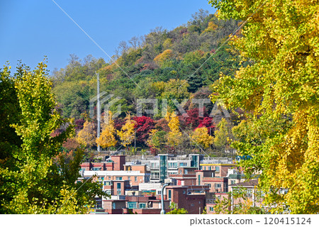 [Korea/Seoul] Autumn streetscape at the foot of Namsan Mountain 120415124