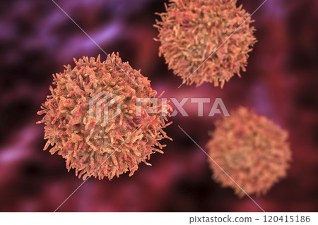 B-lymphocyte, or B-cell B-lymphocyte, or B-cell 120415186