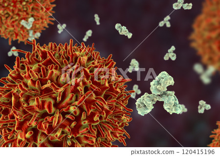 B-cell and antibodies B-cell and antibodies 120415196
