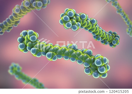 Molecular model of beta-carotene, precursor to vitamin A, 3d illustration Molecular model of beta-carotene, precursor to vitamin A, 3d illustration 120415205
