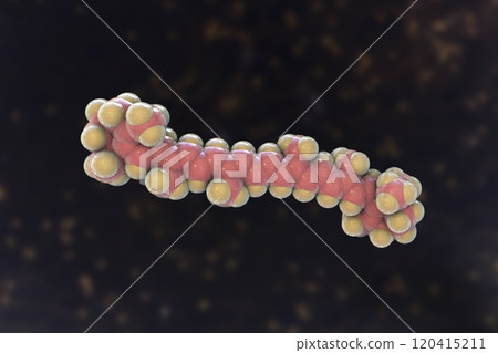 Molecular model of beta-carotene, precursor to vitamin A, 3d illustration Molecular model of beta-carotene, precursor to vitamin A, 3d illustration 120415211