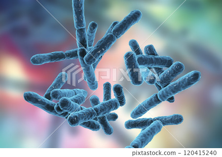Bacteria Bifidobacterium, gram-positive anaerobic rod-shaped bacteria 120415240