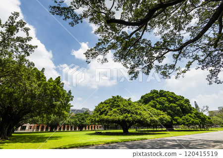 Beautiful view of the large Banyan Garden on the National Cheng Kung University (NCKU) campus in Tainan, Taiwan. Beautiful view of the large Banyan Garden on the National Cheng Kung University (NCKU) campus in Tainan, Taiwan. 120415519