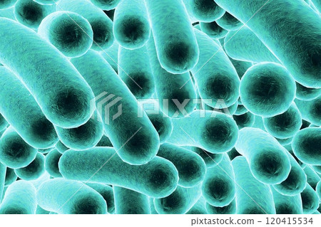 Rod shaped bacteria Rod shaped bacteria 120415534