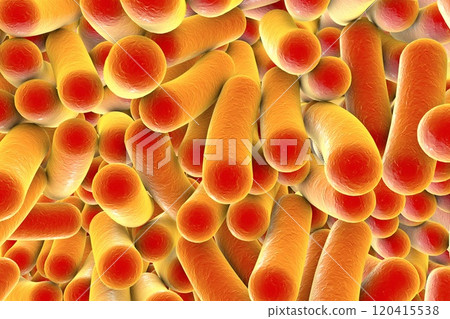 Rod shaped bacteria 120415538