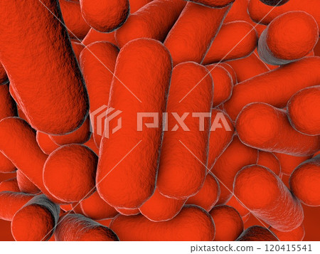 Rod shaped bacteria 120415541