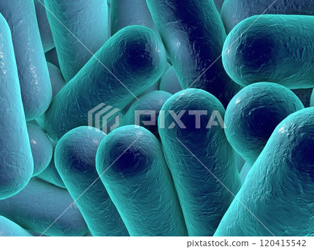 Rod shaped bacteria 120415542