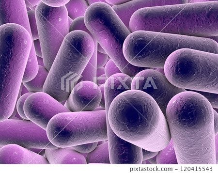 Rod shaped bacteria 120415543