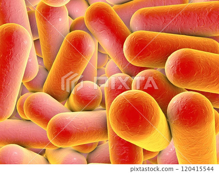 Rod shaped bacteria Rod shaped bacteria 120415544