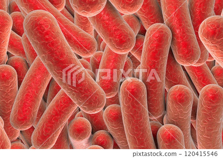 Rod shaped bacteria 120415546