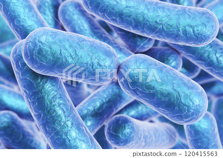 Rod shaped bacteria Rod shaped bacteria 120415563