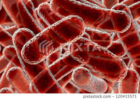 Close-up view of rod-shaped bacteria Close-up view of rod-shaped bacteria 120415571