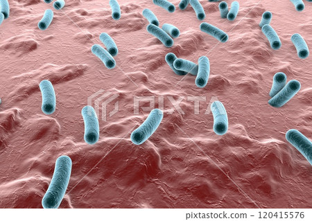 Bacteria on surface of skin, mucous membrane or intestine 120415576