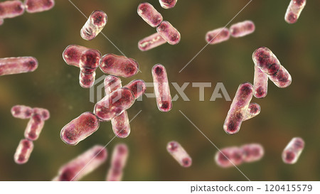 Bacteria Bacteroides, 3D illustration Bacteria Bacteroides, 3D illustration 120415579