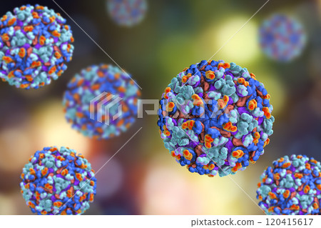 Barmah forest virus Barmah forest virus 120415617
