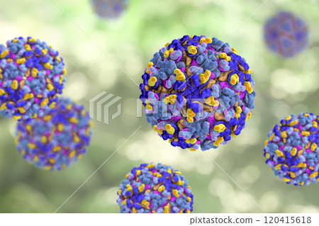 Barmah forest virus Barmah forest virus 120415618