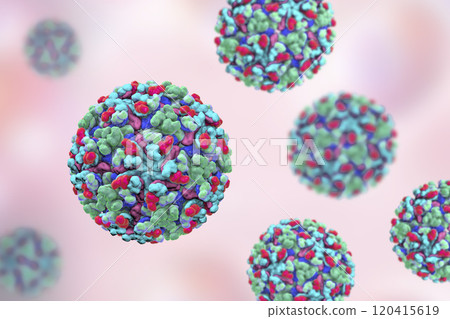 Barmah forest virus Barmah forest virus 120415619