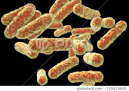 Bartonella henselae bacteria, the causative agent of cat-scratch disease 120415620
